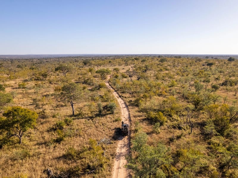 Comparing Safari in East and Southern Africa — All About Africa guide