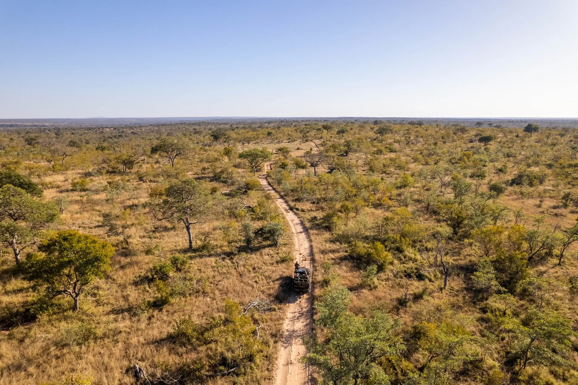 East Africa vs Southern Africa Safari — All About Africa