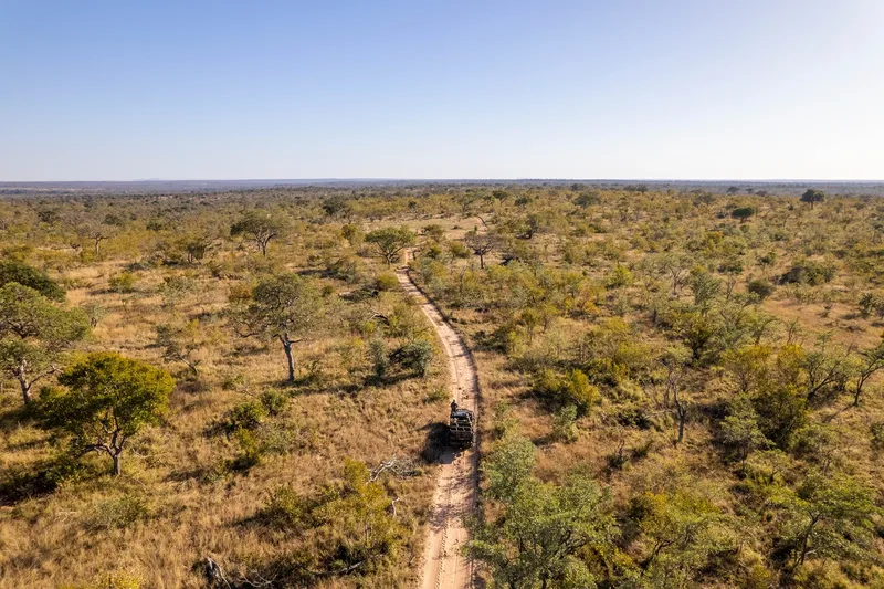 Comparing Safari in East and Southern Africa