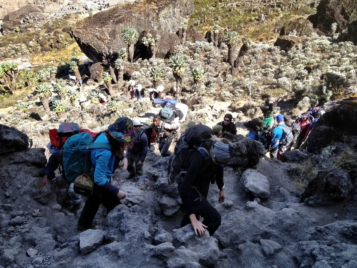 Climbers and porters scrambling up the rock of the Barranco Wall on Kilimanjaro